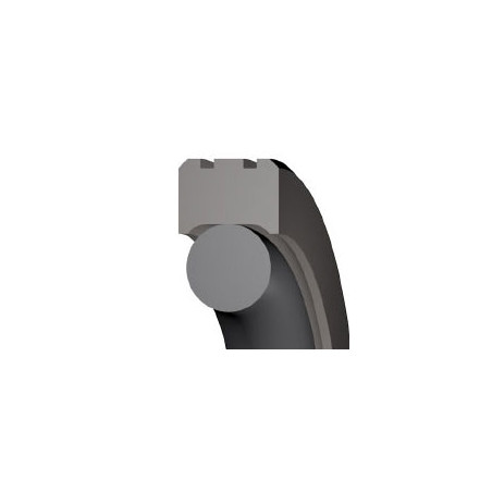 Junta RD-11 PTFE estándar 459,00x